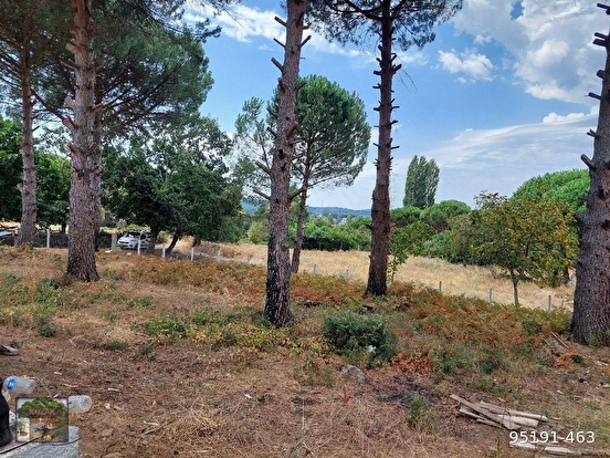BERGAMA KOZAK YUKARIBEY MAH DE 4750 M2 BAĞ - İZMİR BERGAMA fotoğraf 10