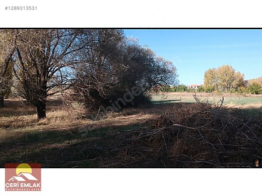 YOZGAT SORGUN TUZLACIK KÖYÜ2100 MT² ARAZİ - YOZGAT SORGUN fotoğraf 5