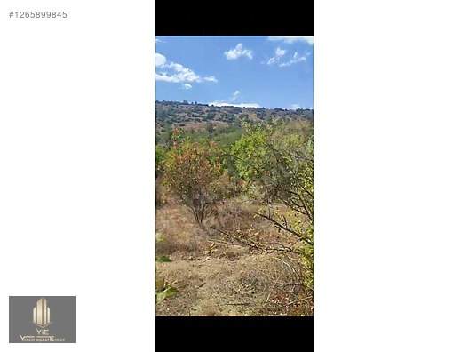 DÜMDÜZ RESMİ YOLU VAR SULAMA KANALI VAR . - UŞAK KARAHALLI fotoğraf 8