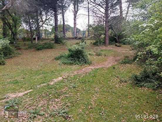BERGAMA KOZAK YAYLASI YUKARIBEY MAH DE 5625 m2 FISTIKLIK