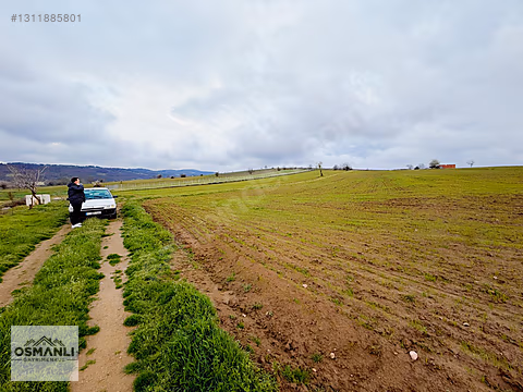 ELEKTRİĞİ VE YOLU ÖNÜNDE,ARKASI ORMAN,16 DÖNÜM %5 İMARLI ARAZİ - BİLECİK SÖĞÜT fotoğraf 8