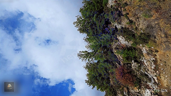 ANAMUR ÇATALOLUK SATILIK 5800 M2 TARLA - MERSİN ANAMUR fotoğraf 6