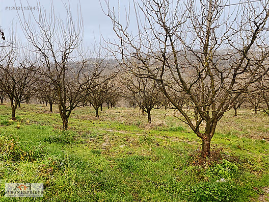 Serdivan Esentepe'de Satılık Arsalar - Yatırım Fırsatı! - SAKARYA SERDİVAN fotoğraf 9