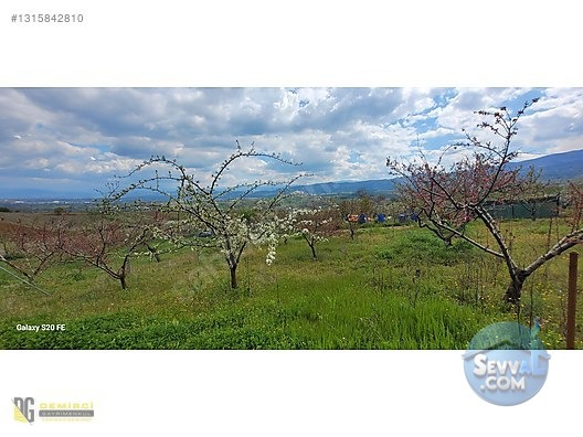 Bursa inegöl Akıncılar 200m² Hobi Bahçesi Aidatsız, Yolu su Var - BURSA İNEGÖL fotoğraf 6