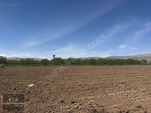 AKÇADAĞ BAHRİ İKİ AYRI TAPULU SATILIK SULU TARLA - MALATYA AKÇADAĞ fotoğraf 7