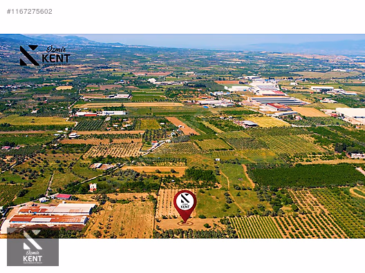 Kemalpaşa Armutlu Satılık 2300 m2 Bahçe Müstakil Parsel Tek Tapu - İZMİR KEMALPAŞA fotoğraf 35
