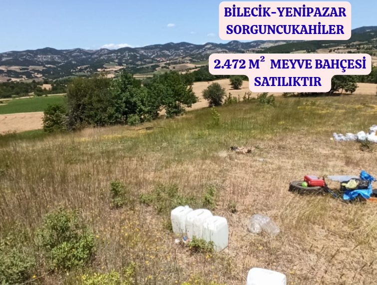 BİLECİK YENİPAZAR SORGUNCUKAHİLER   KÖYÜNDE 2.472  M²  MEYVE BAHÇESİ  SATILIKTIR - BİLECİK YENİPAZAR fotoğraf 2
