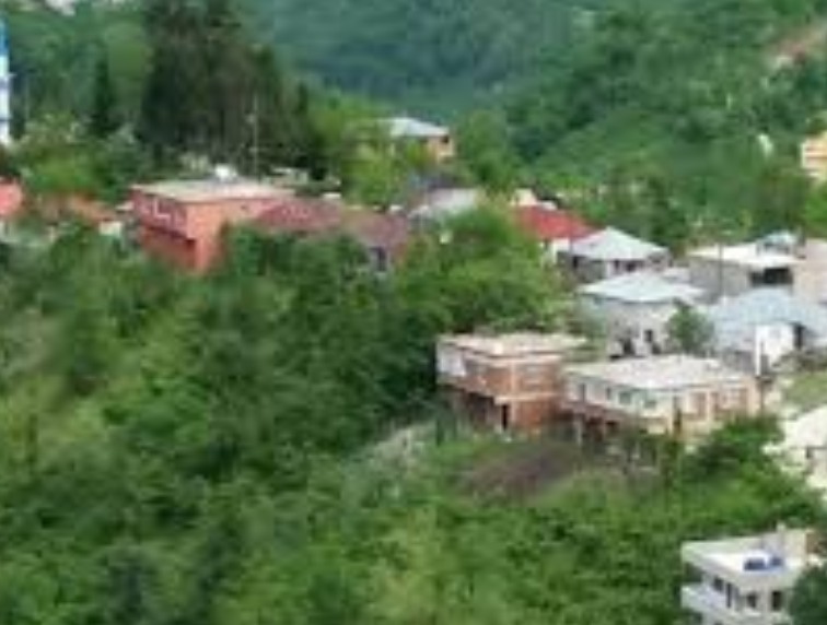 GİRESUN GÖRELE ESENYURT KÖYÜNDE 319 M² FINDIK BAHÇESİ SATILI - GİRESUN GÖRELE fotoğraf 5