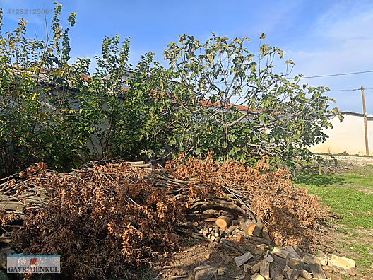 Bursa Mudanya Akköy Köyü'nde Satılık İmarlı Arsa - BURSA MUDANYA fotoğraf 11