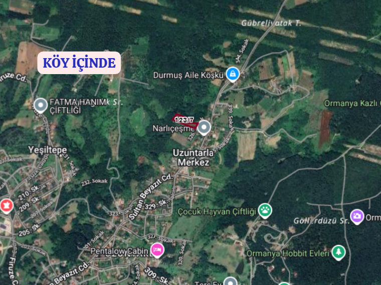 KOCAELİ KARTEPE UZUNTARLA KÖYÜNDE 5.219 M² TARLA \ MEYVE BAHÇESİ SATILIKTIR - KOCAELİ KARTEPE fotoğraf 4