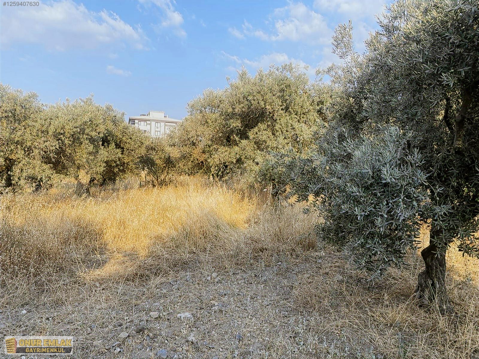 3 Kat İmarlı Arsa - İZMİR KEMALPAŞA fotoğraf 2