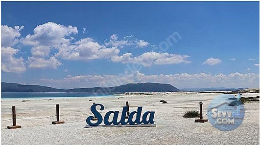 SATILIK TEK TAPU TARLA  DAZKIRI ESENTEPE MAH 3196M2  - AFYONKARAHİSAR DAZKIRI fotoğraf 4