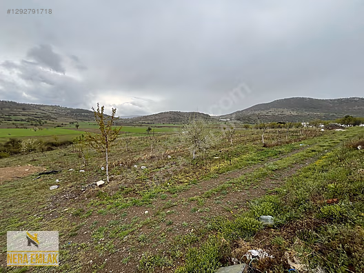 ÇARDAK'DA TEK TAPU BAHÇELİ MÜSTAKİL EV VE ARSASI 5.648m2 - DENİZLİ ÇARDAK fotoğraf 5