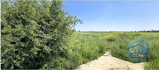 KONYA KADINHANI ATLANTI DA 1.100 M² TARLAMIZ SATILIKTIR - KONYA KADINHANI fotoğraf 4