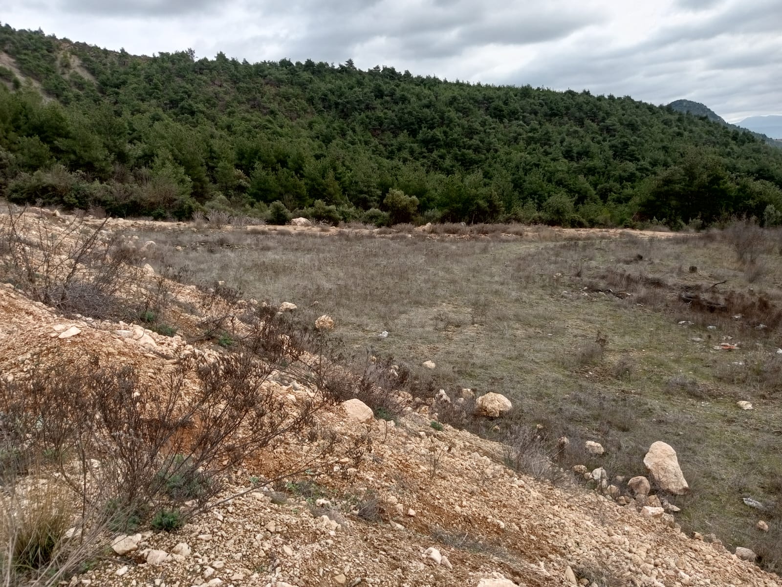 sahibinden satılık - BİLECİK OSMANELİ fotoğraf 17