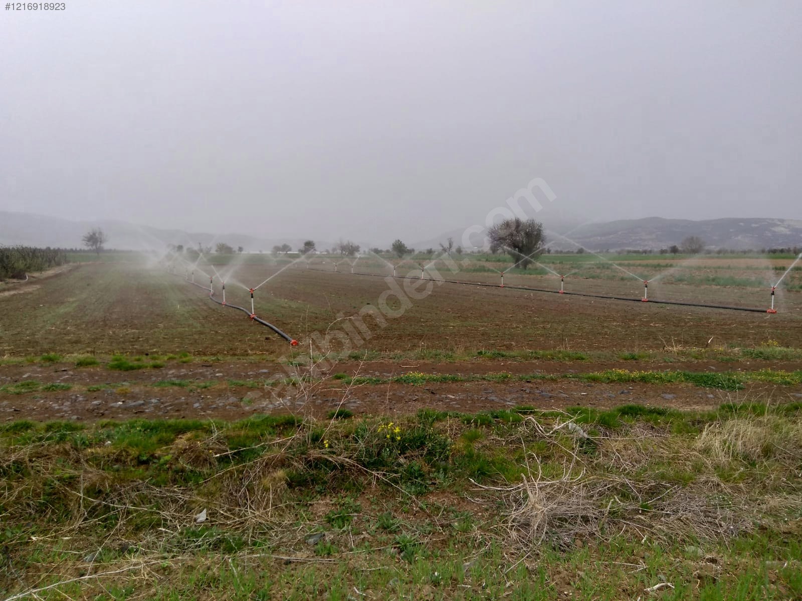 DENİZLİ ACIPAYAM APA  KÖYÜNDE 2.976  M² TARLA  SATILIKTIR - DENİZLİ ACIPAYAM fotoğraf 10