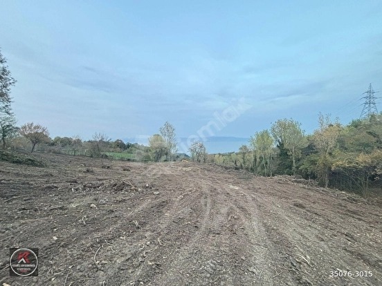 KARAMÜRSEL DEREKÖY’DE 19.309 M² KONUT ALANLI, TARIMSAL KULLANIMA UYGUN YATIRIM A - KOCAELİ KARAMÜRSEL fotoğraf 10