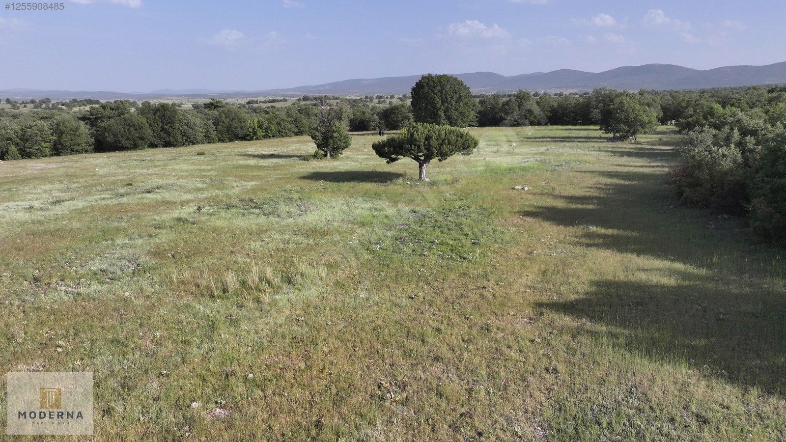 ESKİŞEHİR 20650 M2 TEK TAPU ORMANA CEPHE HALI GİBİ EMSALSİZ ARSA - ESKİŞEHİR HAN fotoğraf 8