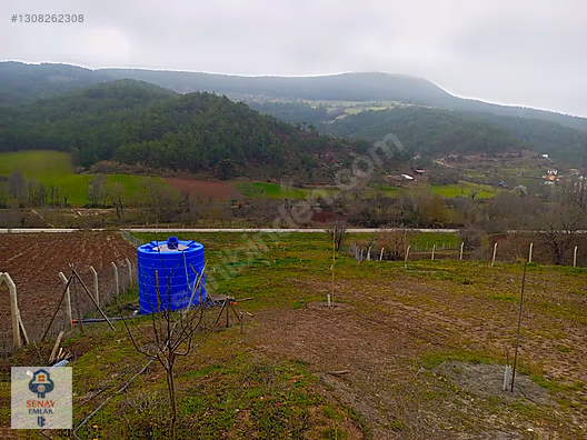 YATIRIMLIK...BİLECİK GÖLPAZARINDA 6780 M2 (ARAÇ TAKASLI) BAHÇE - BİLECİK GÖLPAZARI fotoğraf 25