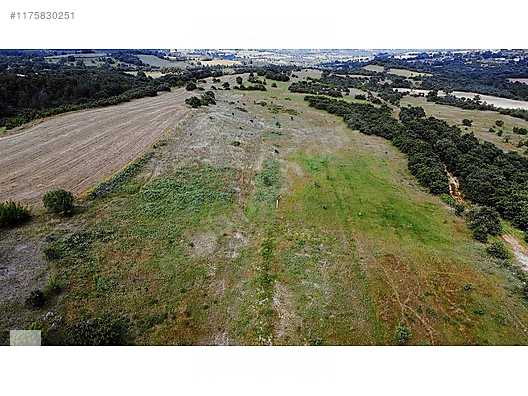 ÇANAKKALE BAYRAMİÇ MURATLAR KÖYÜ 45.000 m2 TARLA - ÇANAKKALE BAYRAMİÇ fotoğraf 4