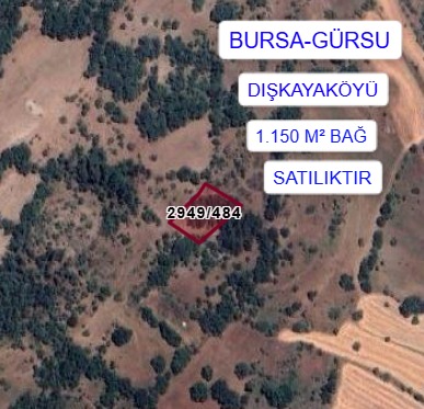 BURSA GÜRSU DIŞKAYAKÖYÜ MAH.1.150M² BAĞ SATILIKTIR - BURSA GÜRSU fotoğraf 2