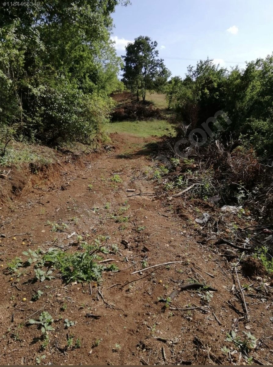 araç takaslı .imarlı mükemmel konumda arsa - BİLECİK MERKEZ fotoğraf 7