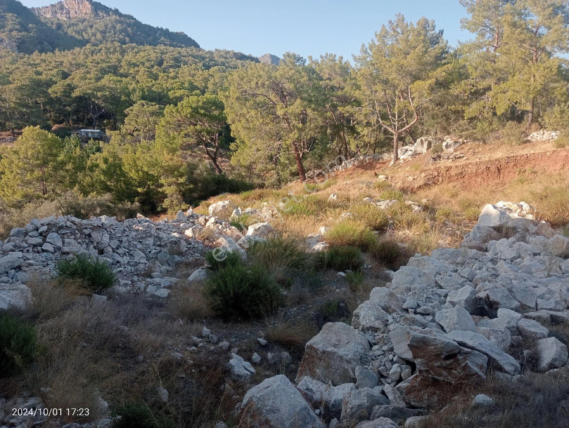 Antalya Kumluca Mavikent'te Satılık Tarla İnceoğlu Emlak - ANTALYA KUMLUCA fotoğraf 29