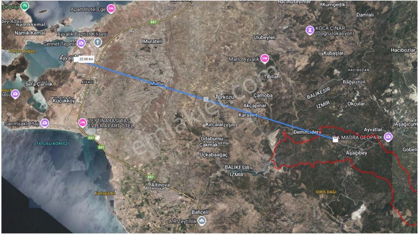 Bergama Kozak Bölgesi Aşağıbey Köyü Anayol Cepheli Satılık Fıstıklık - İZMİR BERGAMA fotoğraf 4