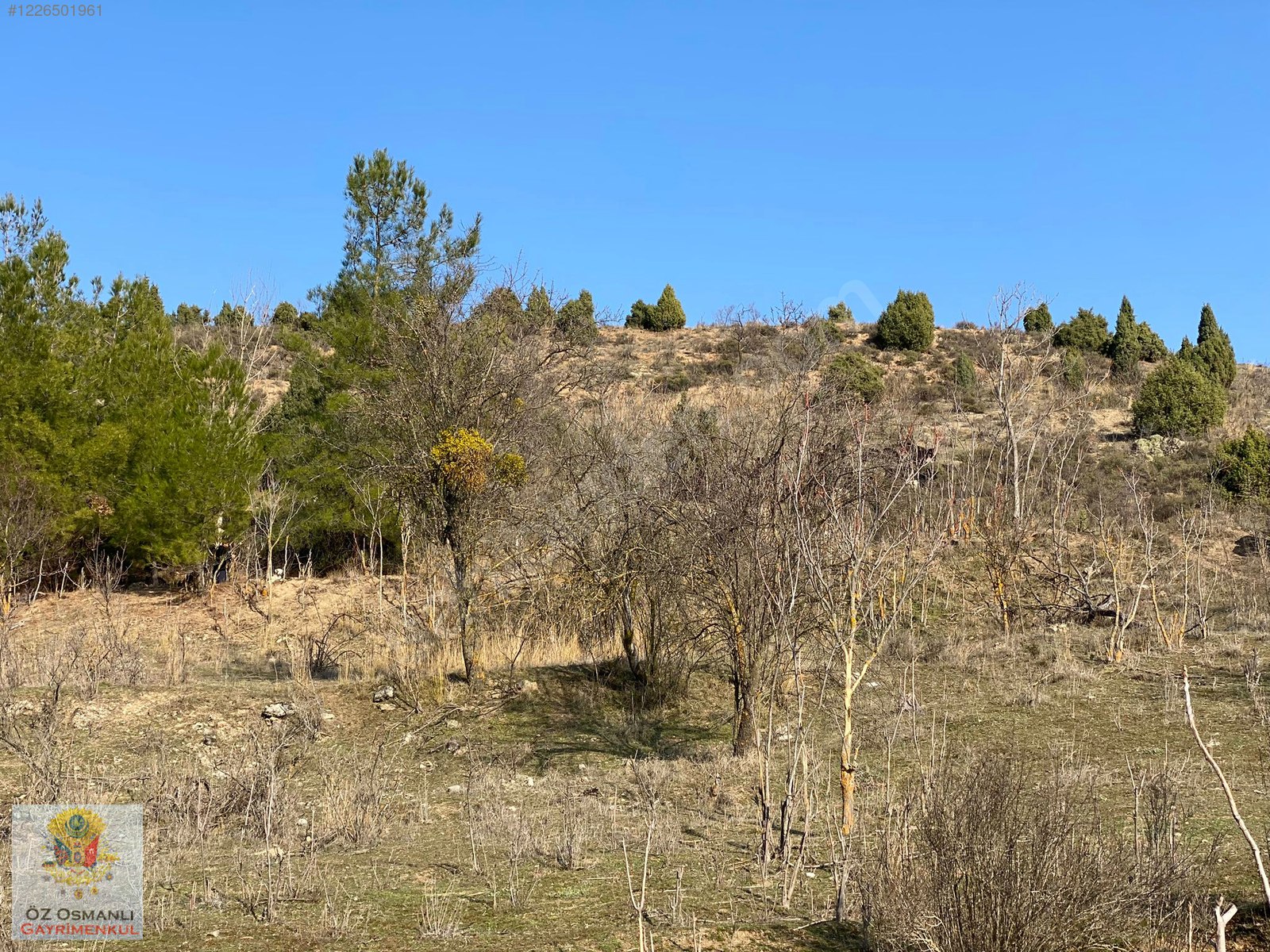TELEFON FİYATINA ARAZİ VERİYORUZ, 409 M2,RESMİ YOLU VE SUYU VAR! - BİLECİK SÖĞÜT fotoğraf 15