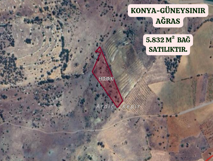 KONYA GÜNEYSINIR AĞRAS   KÖYÜNDE 5.832 M²  BAĞ  SATILIKTIR - KONYA GÜNEYSINIR fotoğraf 2