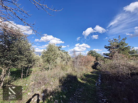 Kemalpaşa Soğukpınar Satılık 325 m2 İmar Sınırında Bahçe - İZMİR KEMALPAŞA fotoğraf 9