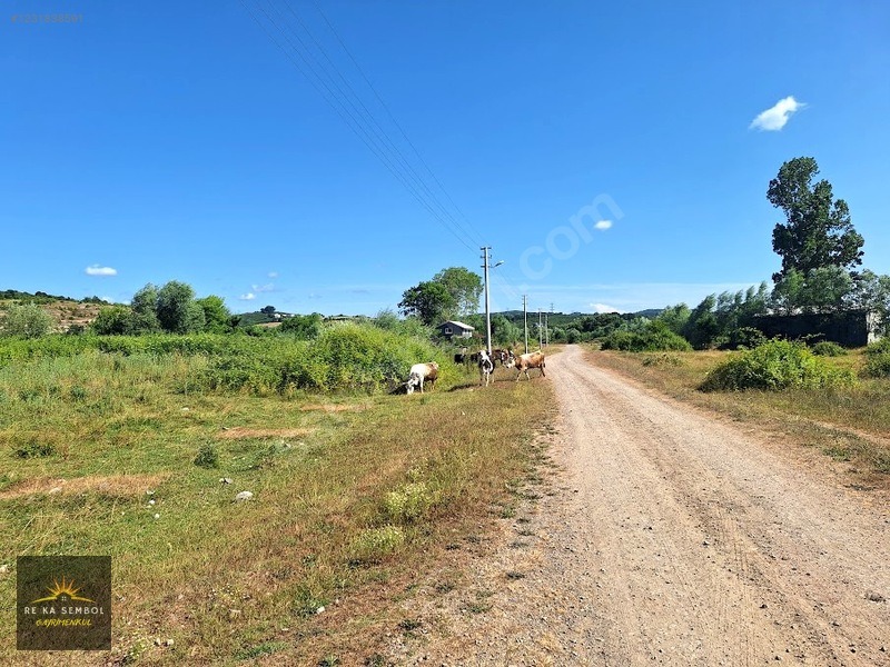 KARASU KUZULUK MAHALLESİNDE SATILIK 7.170 M2 TARLA - SAKARYA KARASU fotoğraf 3