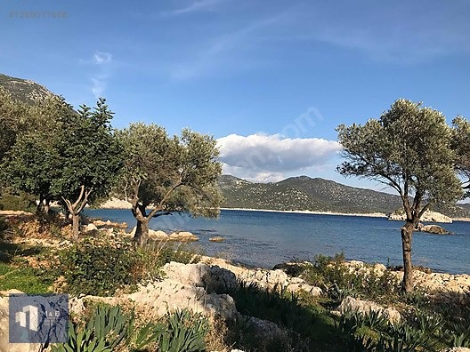 KAŞ BELENLİ KÖYÜNDE FULL DENİZ MANZARALI YATIRIMLIK AR - ANTALYA KAŞ fotoğraf 3