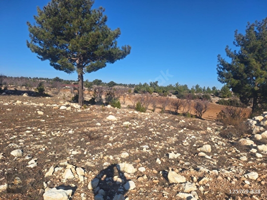 GÜLNAR SARAY MAHALLESİNDE SATILIK 10500 M2 TARLA - MERSİN GÜLNAR fotoğraf 13
