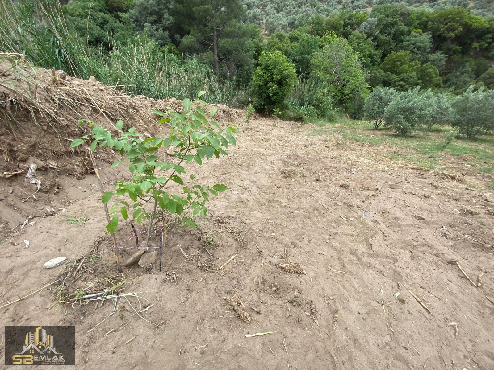 SB EMLAK OFİSİNDEN AKYURT MAHALLESİ SATILIK TARLA(HOBİ BAHÇESİ) - İZMİR TİRE fotoğraf 9
