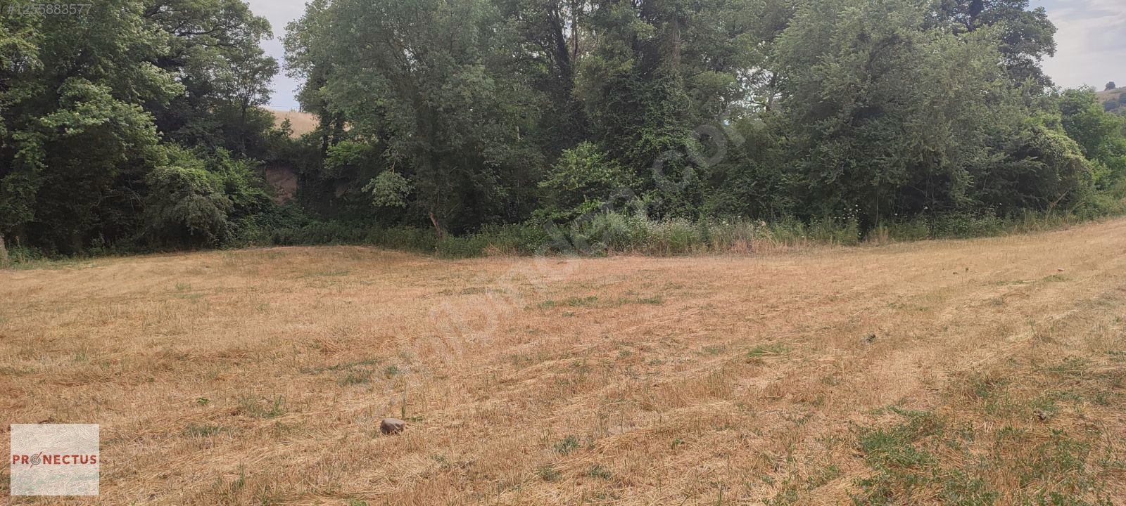 YALAKDERE MAH. 2978 M2 YATIRIMLIK FIRSAT ARSA, - KOCAELİ KARAMÜRSEL fotoğraf 2