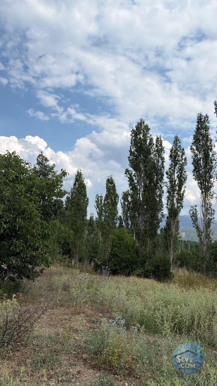 AĞLASUN KIRAÇ MAHALLESİNDE SATILIK FIRSAT ARAZİ - Burdur Ağlasun fotoğraf 4