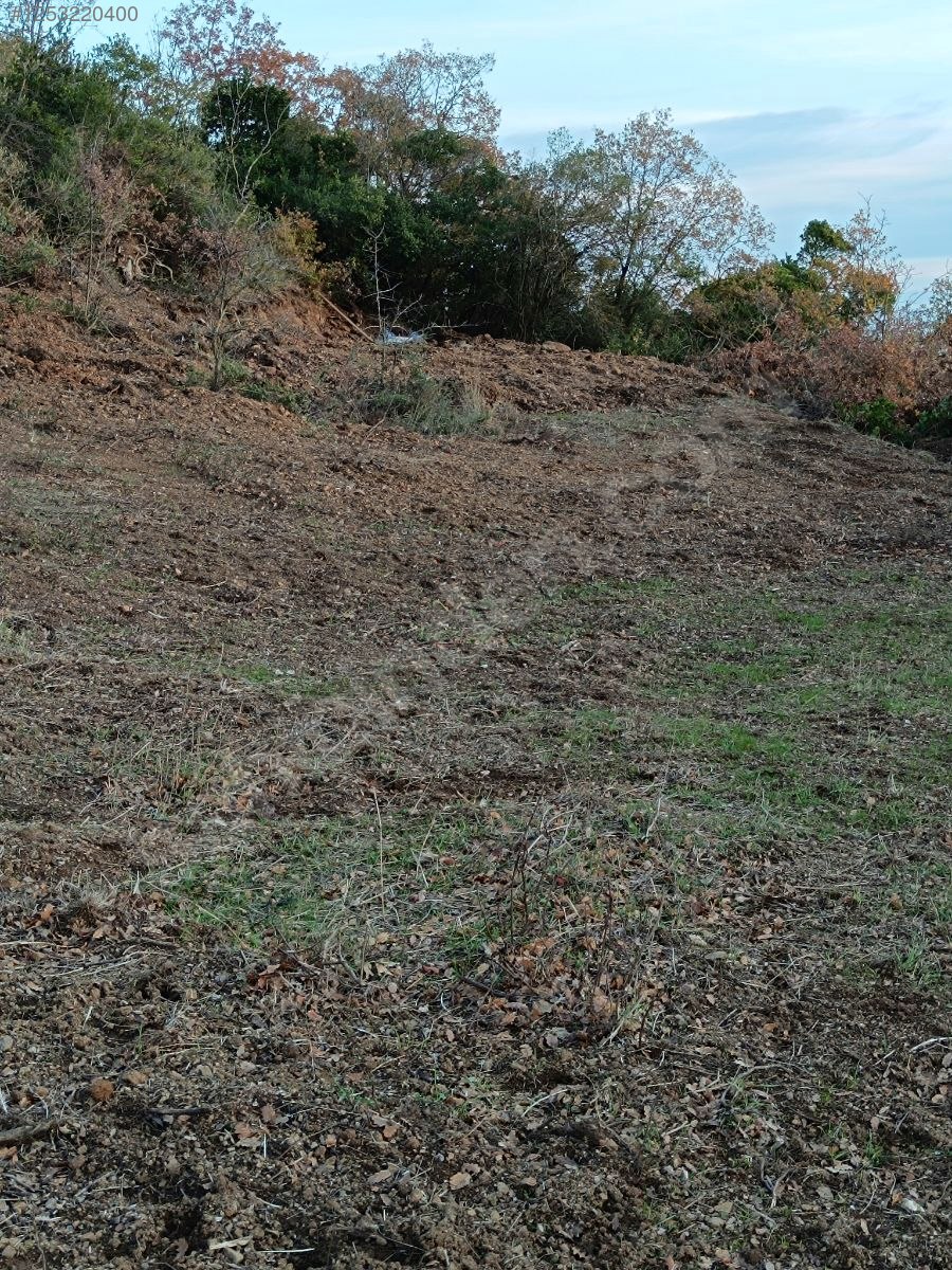 BURSA MUDANYA KAYMAKOBA KÖYÜNDE 537 M TARLA SATILIKTIR - BURSA MUDANYA fotoğraf 14