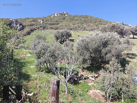 Kemalpaşa Soğukpınar İmar Gelişim Alanında Satılık 2,877m2 Bahçe - İZMİR KEMALPAŞA fotoğraf 33