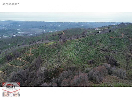 DÜZCE AKÇAKOCA DA EV YAPIMINA UYGUN SATILIK 7.768 M2 FINDIKLIK - DÜZCE AKÇAKOCA fotoğraf 9