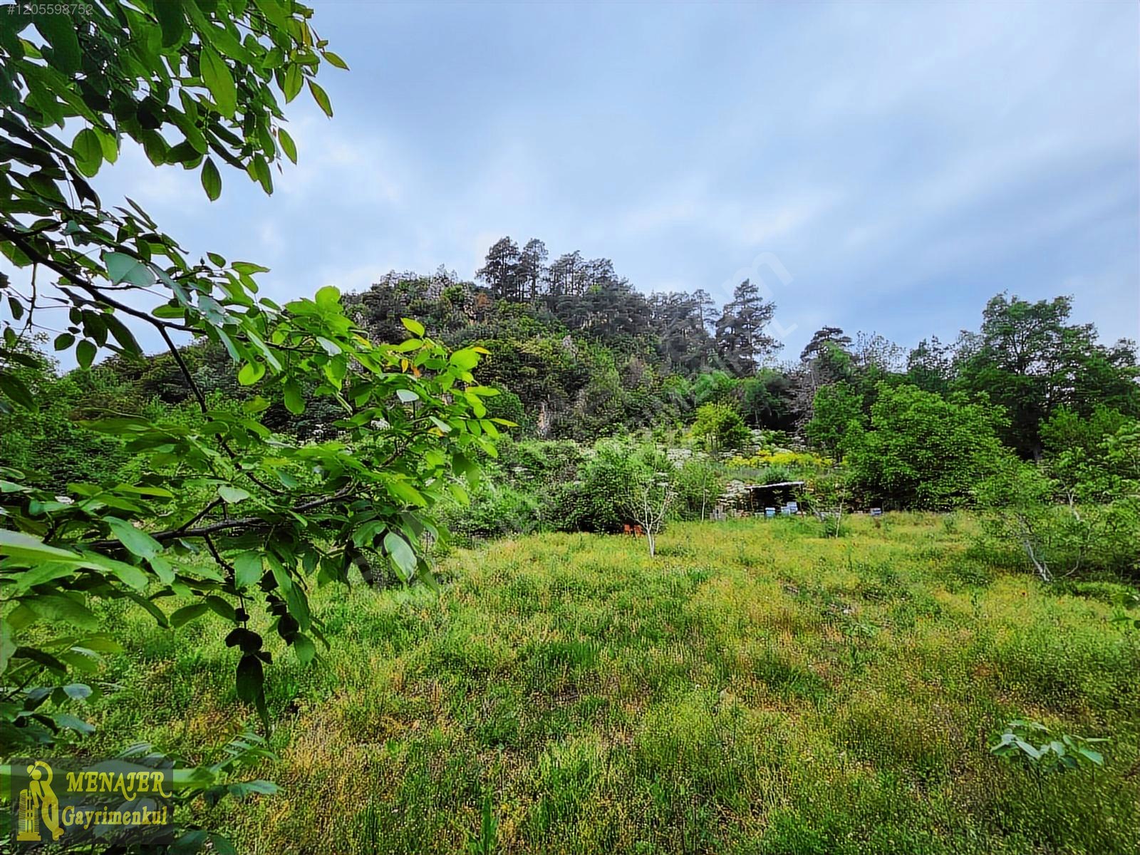 EVCİLİ KÖYÜ 10500 M2 EV VE CEVİZ BAHÇESİ - MERSİN TOROSLAR fotoğraf 7