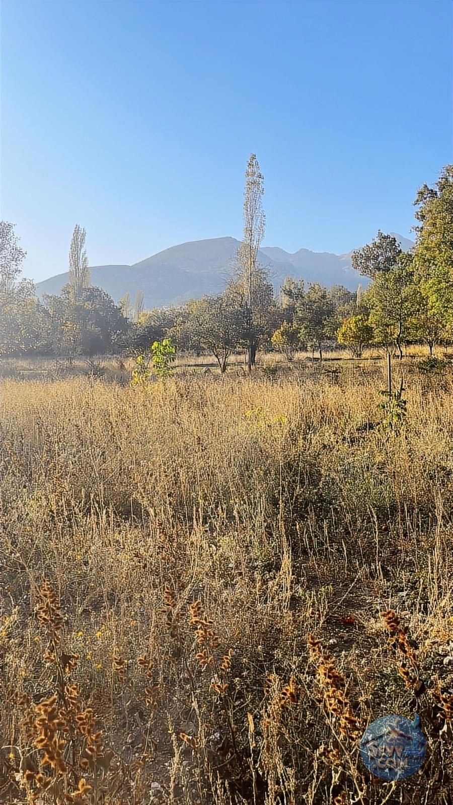ASYA EVİM GAYRİMENKULDEN SAKARCA MAH.SATILIK ARAZİ - Burdur Ağlasun fotoğraf 30
