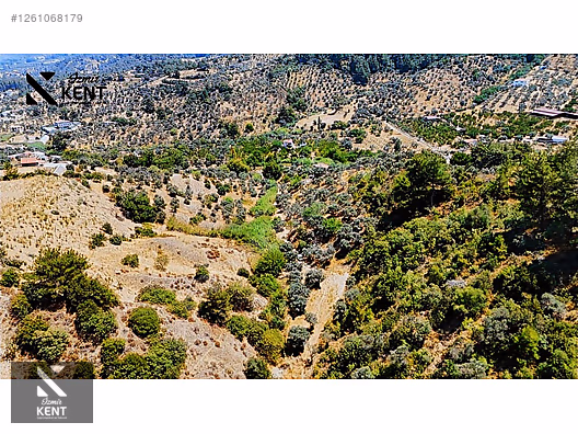 Kemalpaşa Yukarıkızılca Satılık 950 m2 Bahçe Tek Tapu - İZMİR KEMALPAŞA fotoğraf 20