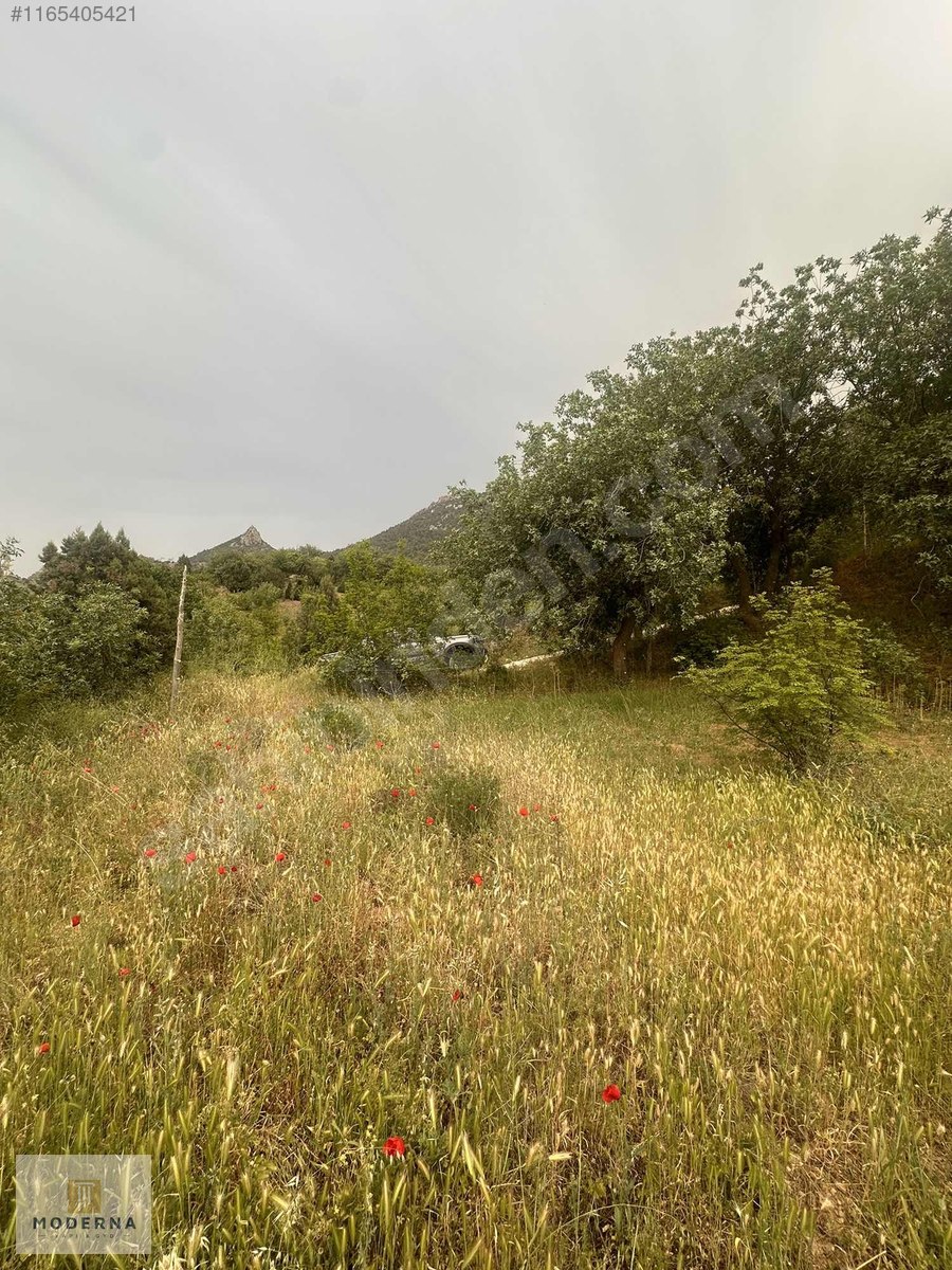 MİHALGAZİ DEMİRCİLER'DE KÖY İÇİ YOLA CEPHELİ 320 M2 - ESKİŞEHİR MİHALGAZİ fotoğraf 13
