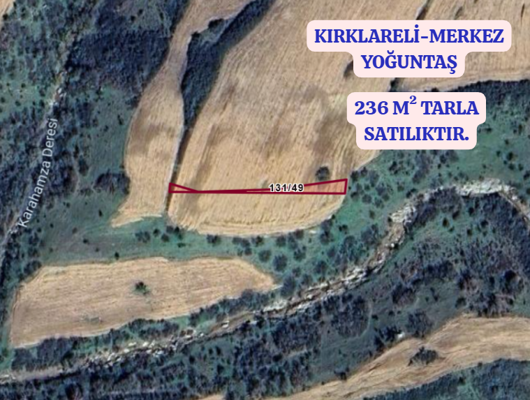 KIRKLARELİ MERKEZ YOĞUNTAŞ   KÖYÜNDE 236  M² TARLA  SATILIKTIR - KIRKLARELİ MERKEZ fotoğraf 2
