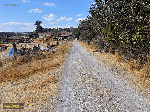 SAVAŞTEPE KARACALARDA OTURUMLUK YATIRIMLIK DÜMDÜZ 11 DÖNÜM MÜLK - BALIKESİR SAVAŞTEPE fotoğraf 6