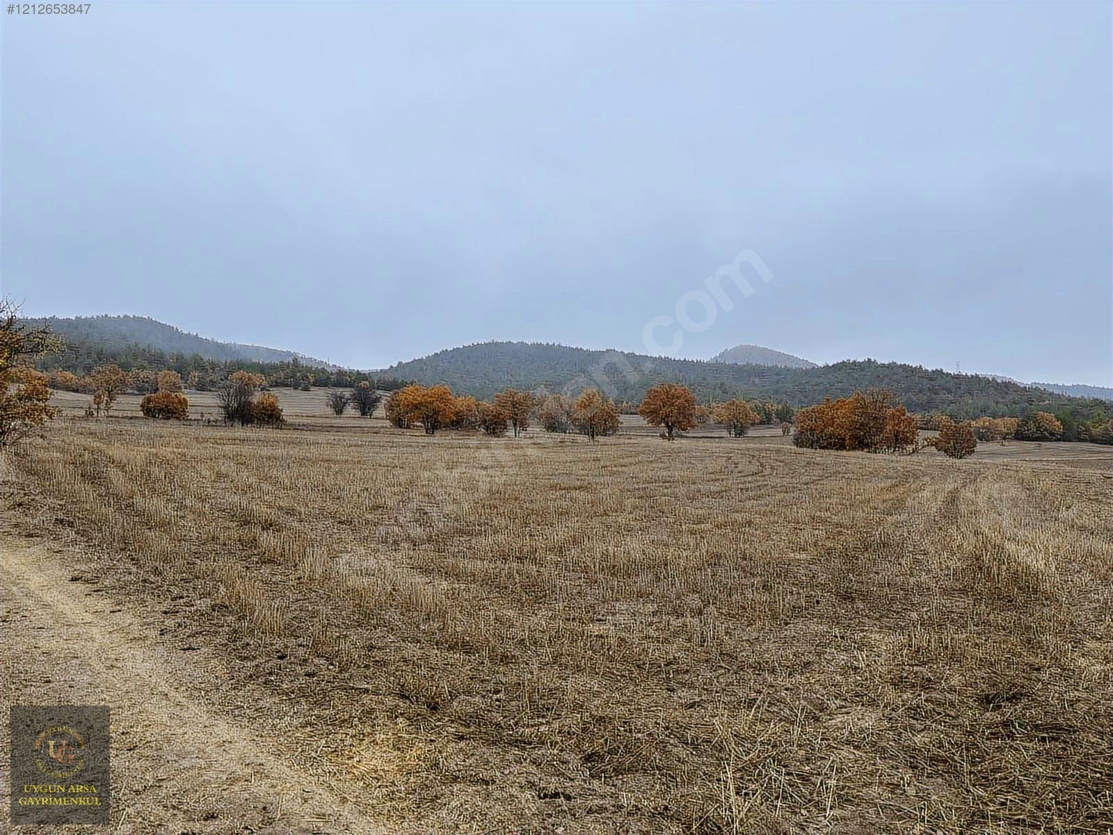 BOLU GÖYNÜK KARAARDIÇ'TA 4.921 M2 UYGUN ARSA - BOLU GÖYNÜK fotoğraf 29
