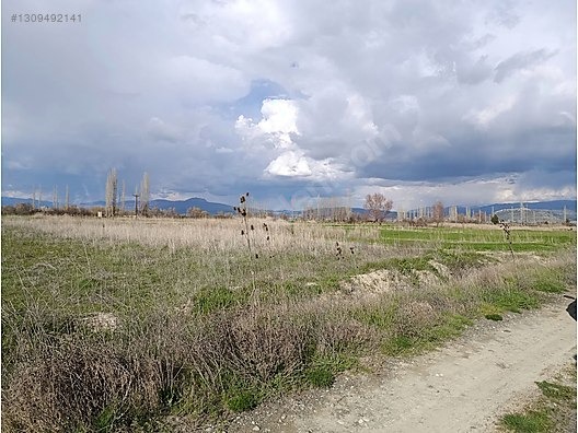 GÜLTEKİN EMLAKTAN Kargalı Yolu Üzerinde Satılık Tarla - BURDUR GÖLHİSAR fotoğraf 3