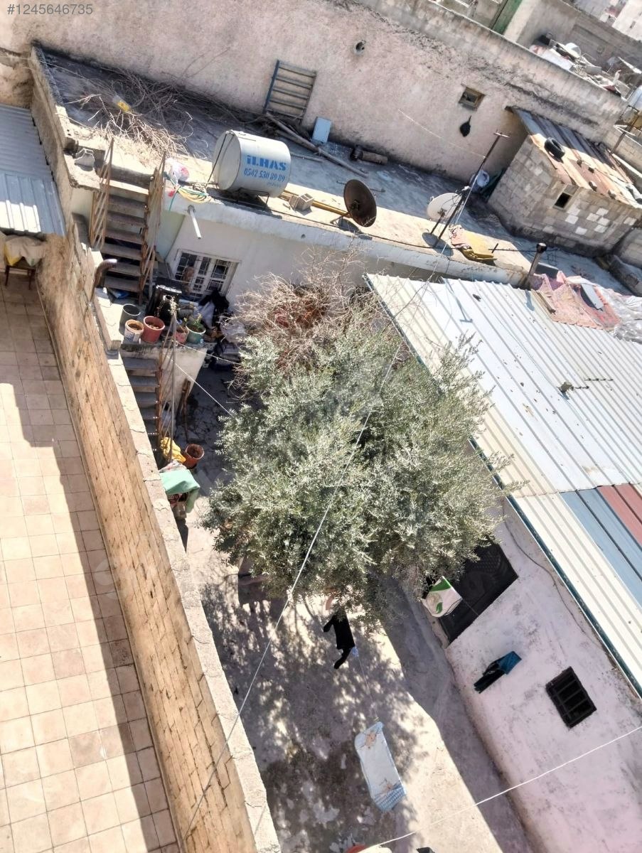 ŞANLIURFA BOZOVA GÖLBAŞI(ADALI) MH’NDE 234 M² AAVLULU KERPİÇ EV SATILIKTIR - ŞANLIURFA BOZOVA fotoğraf 7