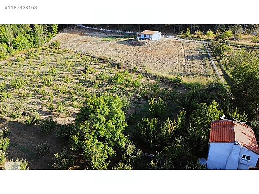 ÇANAKKALE BAYRAMİÇ BEŞİK KÖYÜ 6.900 m2 MEYVA BAHÇESİ 96 m2 EV - ÇANAKKALE BAYRAMİÇ fotoğraf 7